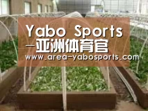 环境展示五