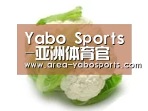 产品名称九