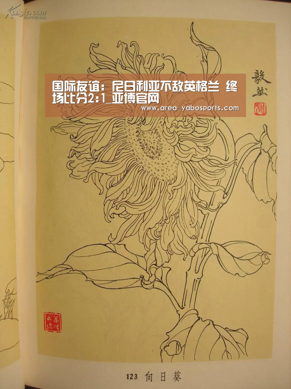 国际友谊: 尼日利亚不敌英格兰 终场比分2:1_亚博官网(图1)