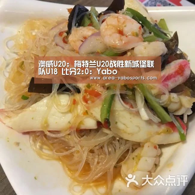 澳威U20: 梅特兰U20战胜新城堡联队U18 比分2:0：Yabo(图1)